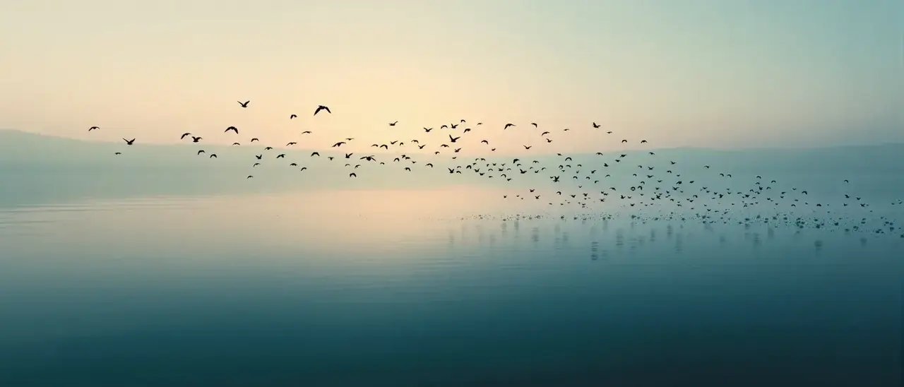 老湿影视应用下载背景